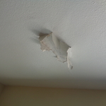 sign of Mold