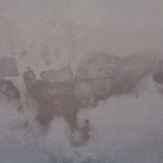 sign of Mold