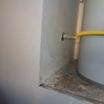 sign of Mold