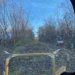Mulching