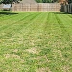 Lawn care