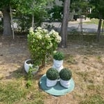 Open house