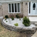 Tree Services