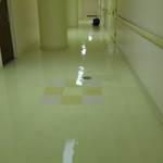 Floor Strip and Wax