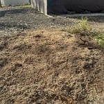 Stump removal