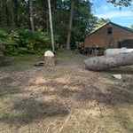 Stump removal