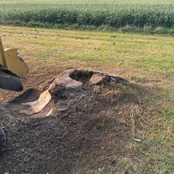 Stump removal