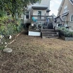 Full backyard clean up