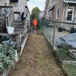 Full backyard clean up