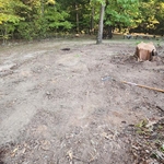 Tree Removal