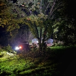 Wild Pig Trapping