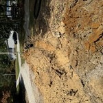 My jobs