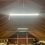 Barn lighting