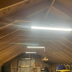 Barn Lighting/Switch