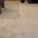 Carpet Clean