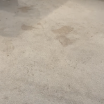 Carpet Clean