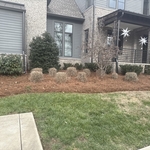 mulch trimming