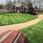 mulch trimming