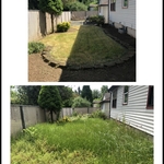 Yard clean-up