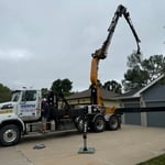 Tree Removal with Crane