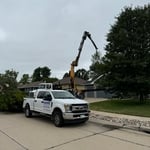 Tree Removal with Crane