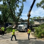Tree Removal with Crane