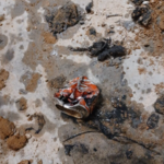 Underground plumbing