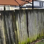 privacy Fence