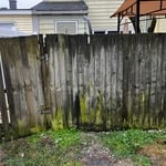 privacy Fence