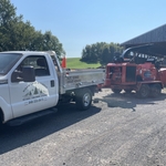 Tree Removal