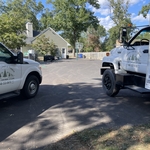 Tree Removal