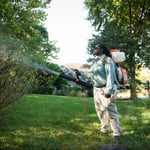 Pest Prevention