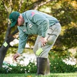 Lawn Care