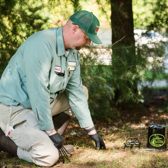 Lawn Care