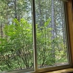 Window Cleaning