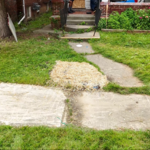 Lawn Restoration