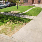 Lawn Restoration