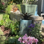 St Pete Home Garden