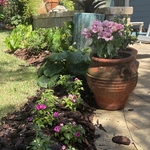 St Pete Home Garden
