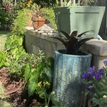 St Pete Home Garden