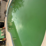 Green to Clean!!