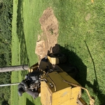 Stump Grinding
