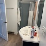 Cleaning Services