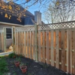 Western red cedar