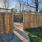 Western red cedar