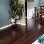 Hardwood all over