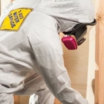 Mold Removal