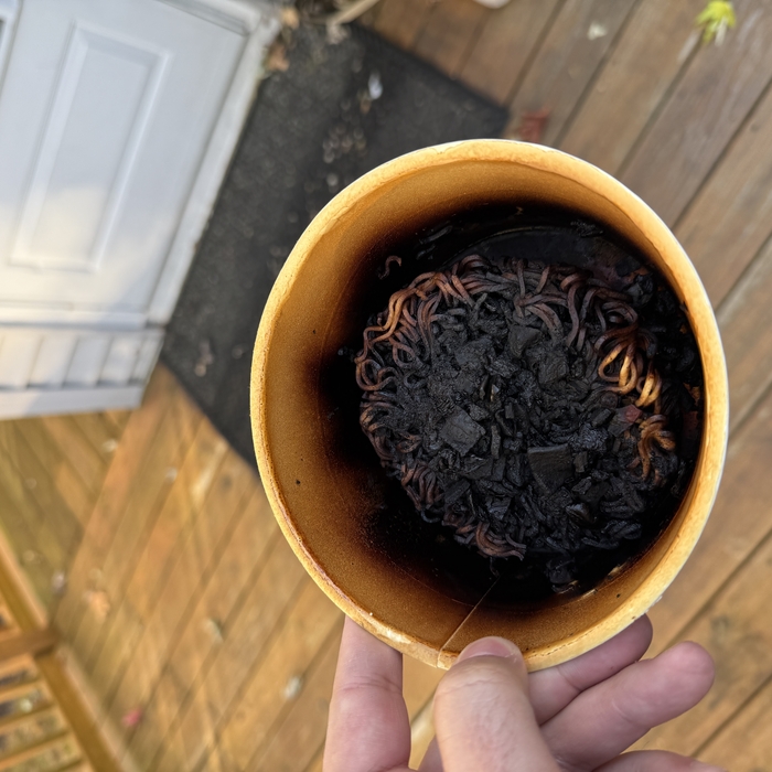 Burnt Ramen Smell Removal