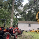 Tree Removal