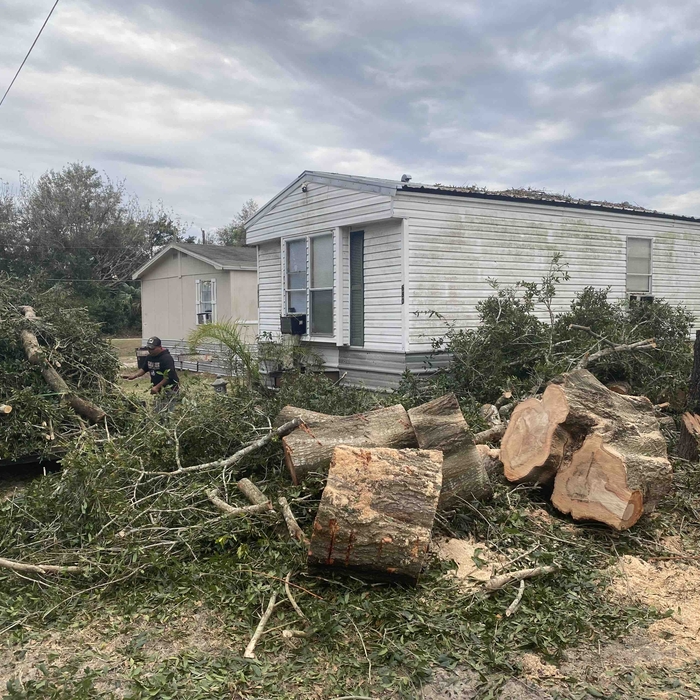 Tree Removal